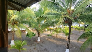 A covered outdoor area with several palm trees, some with coconuts, and a dirt ground. - Cabaña Kirita (Bahia Solano)