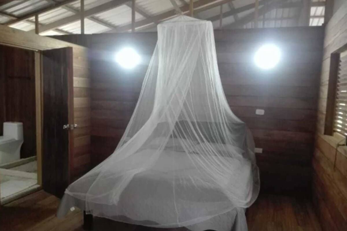 A room with a bed covered by a white canopy, wooden walls, and a visible toilet.