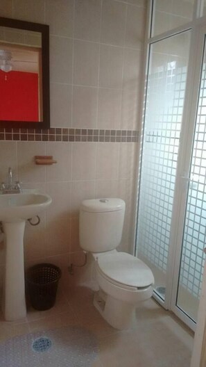 Ducha, toallas, jabón y papel higiénico