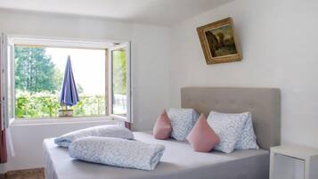 1 habitación, escritorio, tabla de planchar con plancha y wifi