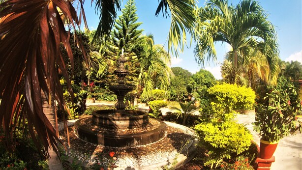 A garden with a central fountain surrounded by various plants and trees. - Quinta Comala (Comala)