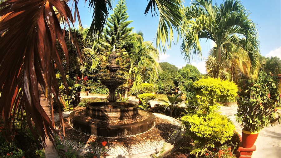 Quinta Comala