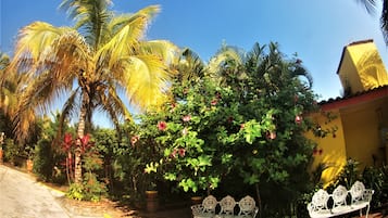 Jardines del alojamiento