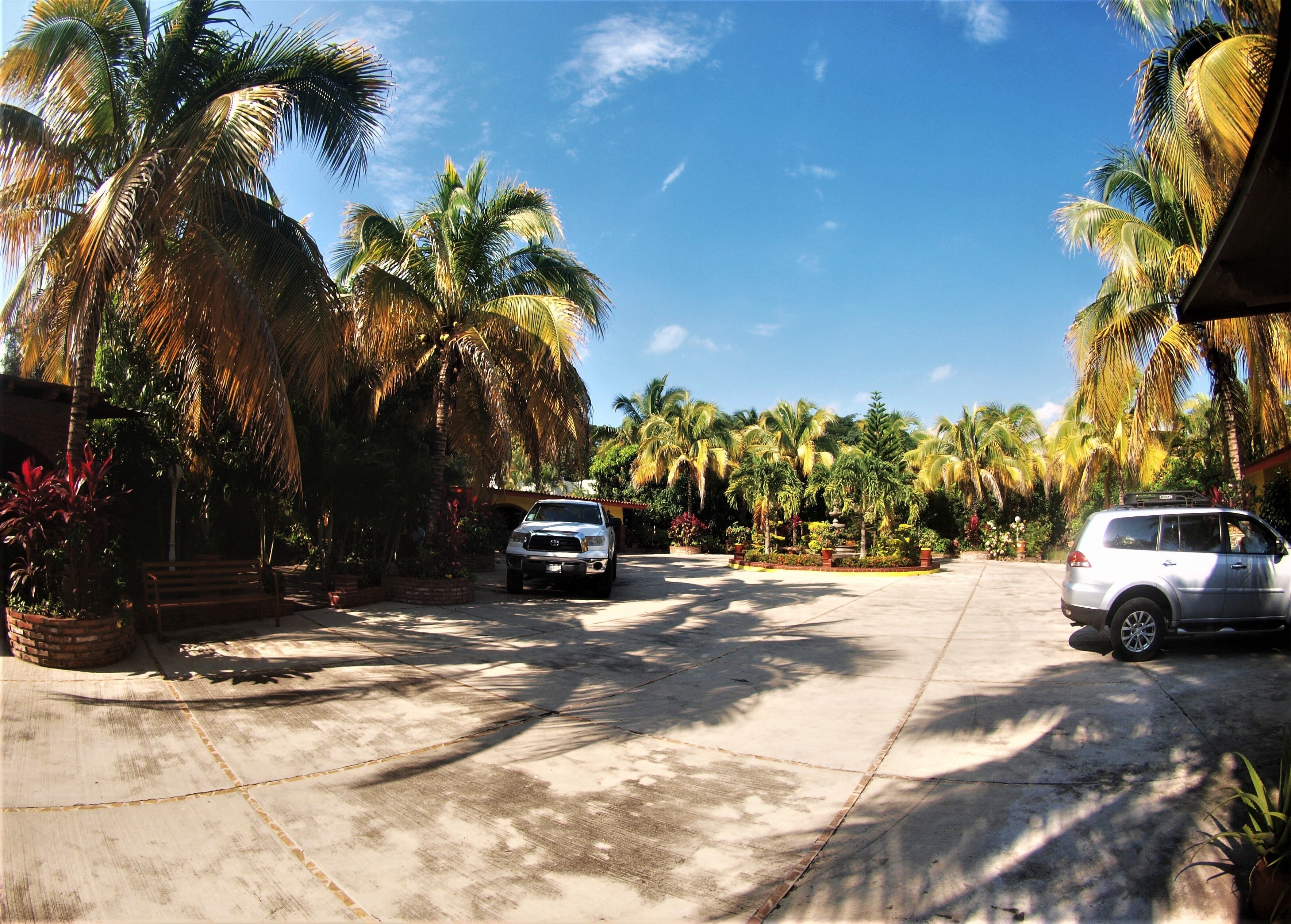 A paved driveway with two parked cars, surrounded by palm trees and a clear blue sky.