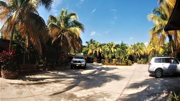 A paved driveway with two parked cars, surrounded by palm trees and a clear blue sky.