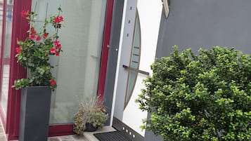 外观细节