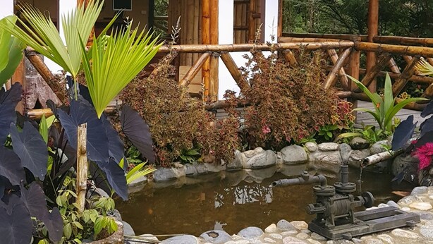 Una construcción rústica de madera con un porche cubierto, rodeada de abundante vegetación y un pequeño estanque.