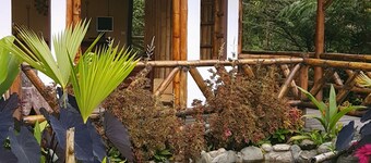 La Penal Amazon Lodge