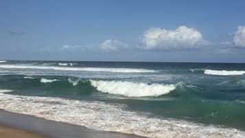 Plage à proximité, chaises longues, serviettes de plage