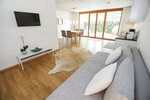Flachbildfernseher