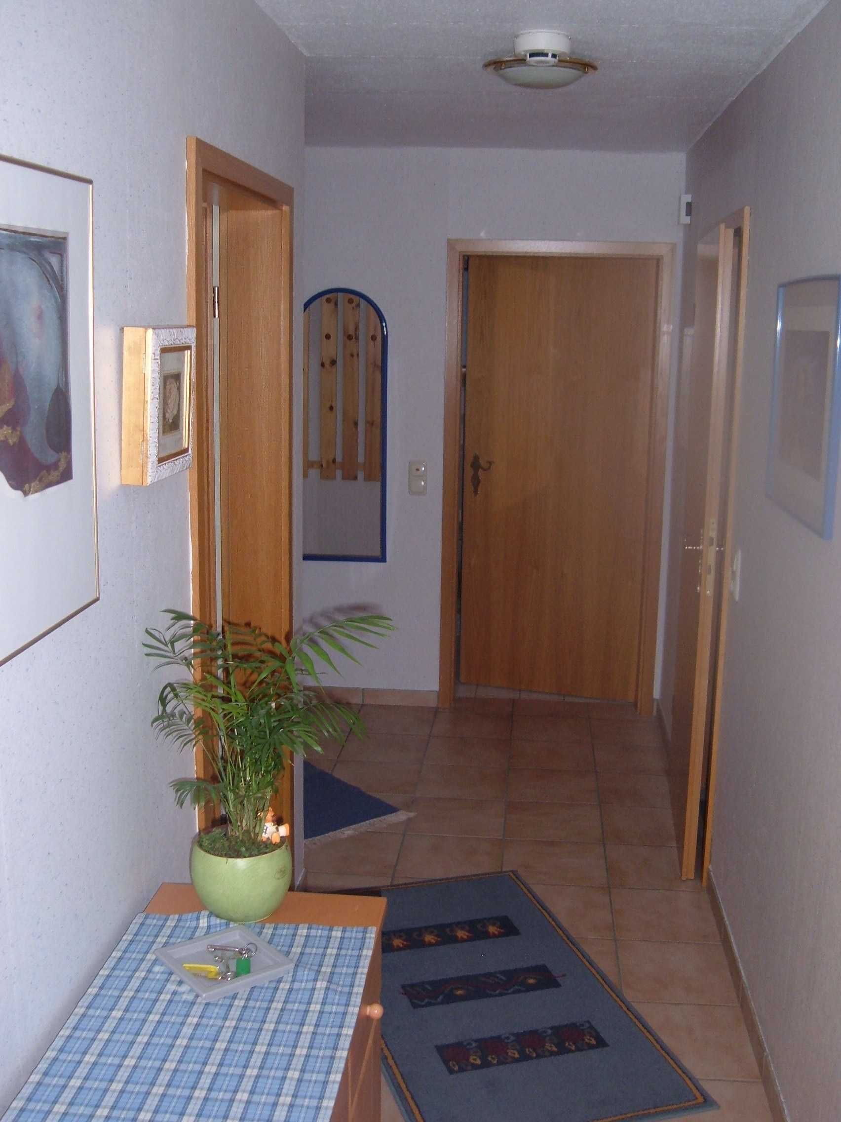 A hallway with a wooden door at the end, a potted plant, a checkered table, and a blue rug.