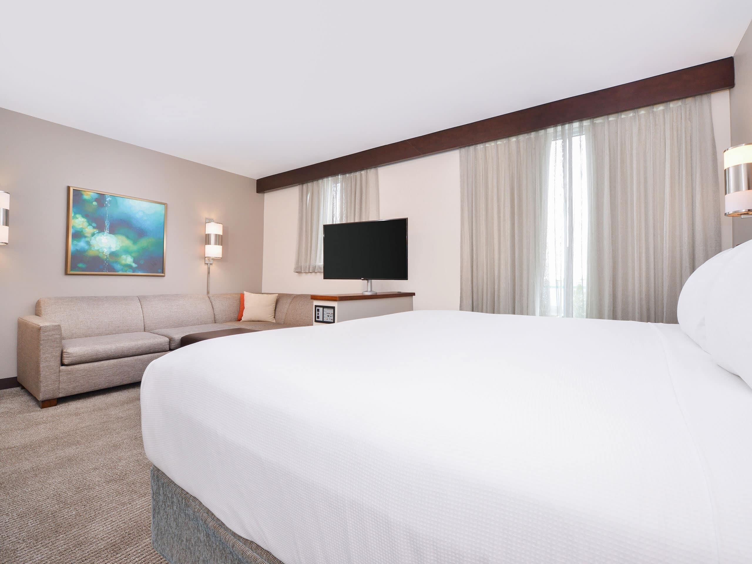 Une chambre d’hôtel avec un grand lit, un canapé, un téléviseur à écran plat, un tableau au mur et une fenêtre avec des rideaux.