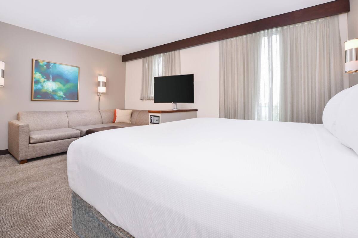 Une chambre d’hôtel avec un grand lit, un canapé, un téléviseur à écran plat, un tableau au mur et une fenêtre avec des rideaux.