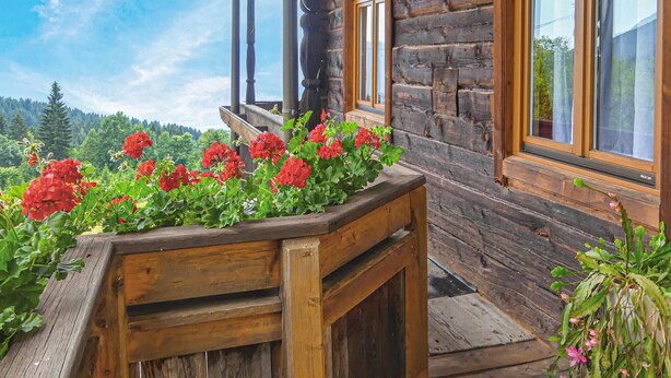 A wooden planter with red flowers on a balcony. - Ferienwohnung in Fresach (Fresach)