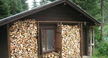 Holiday house Rauris for 1 - 4 persons with 2 bedrooms - Holiday home