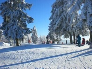 Wintersport/Ski