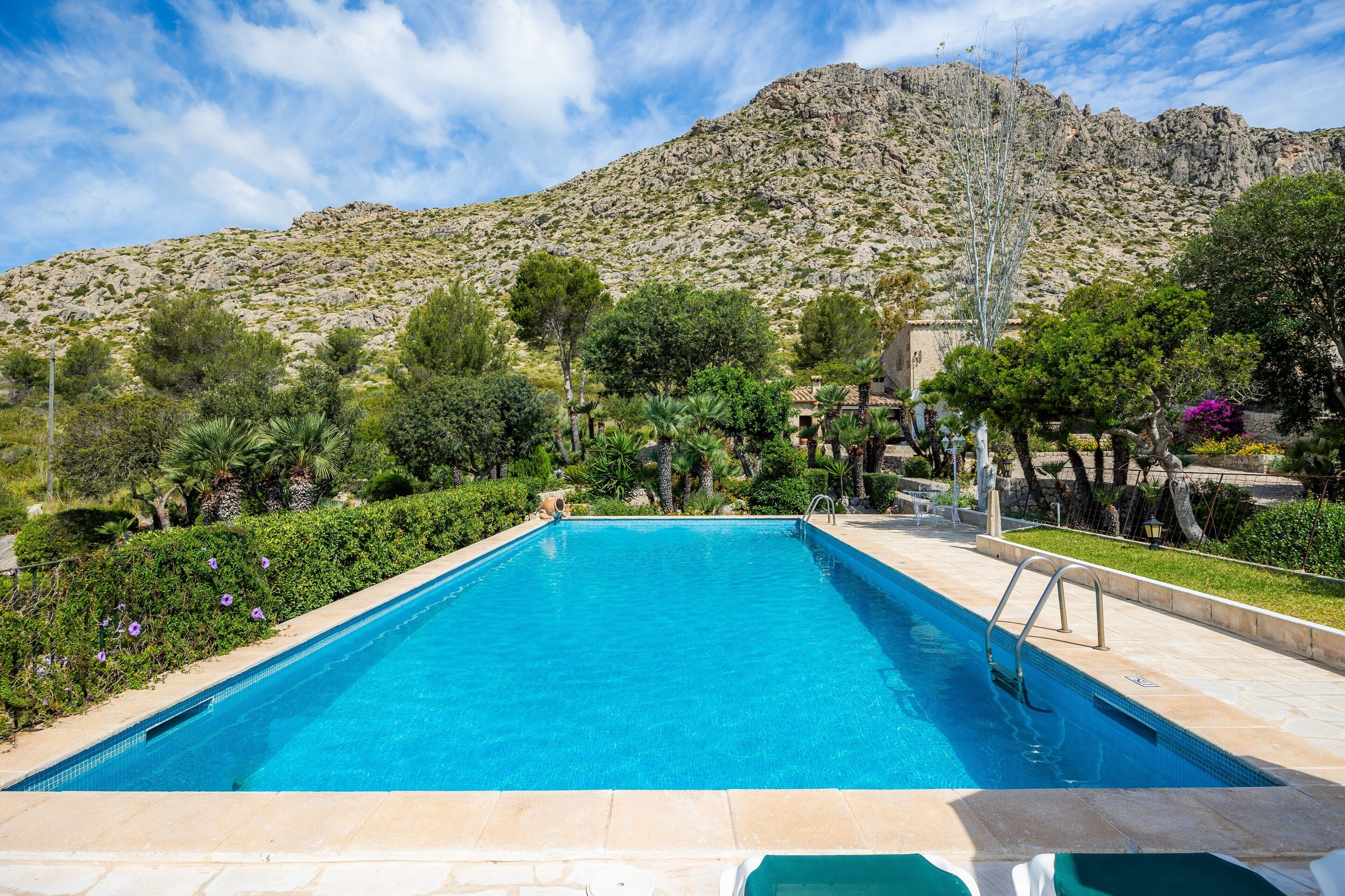 A swimming pool with a mountain backdrop, surrounded by greenery and a clear sky.