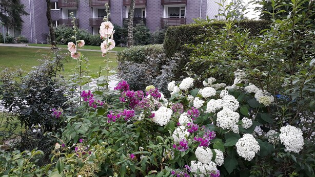 Un jardin avec différentes plantes à fleurs et un bâtiment en arrière-plan.