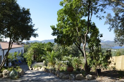 Newly renovated, 10 minutes from the beach and Capoliveri