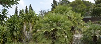 Nylig renovert, 10 minutter fra stranden og Capoliveri