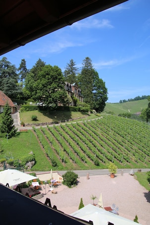 Property grounds. Overnight stay in the winery Neveu - Schlossblick