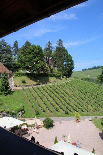 Overnight stay in the winery Neveu - Schlossblick