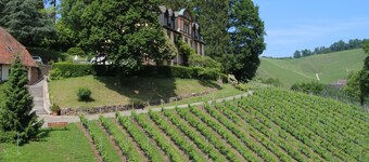 Overnight stay in the winery Neveu - Schlossblick