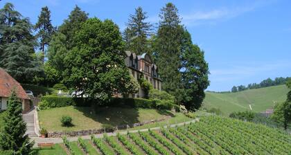 Overnight stay in the winery Neveu - Schlossblick