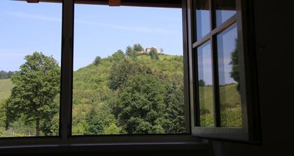 Overnight stay in the winery Neveu - Schlossblick