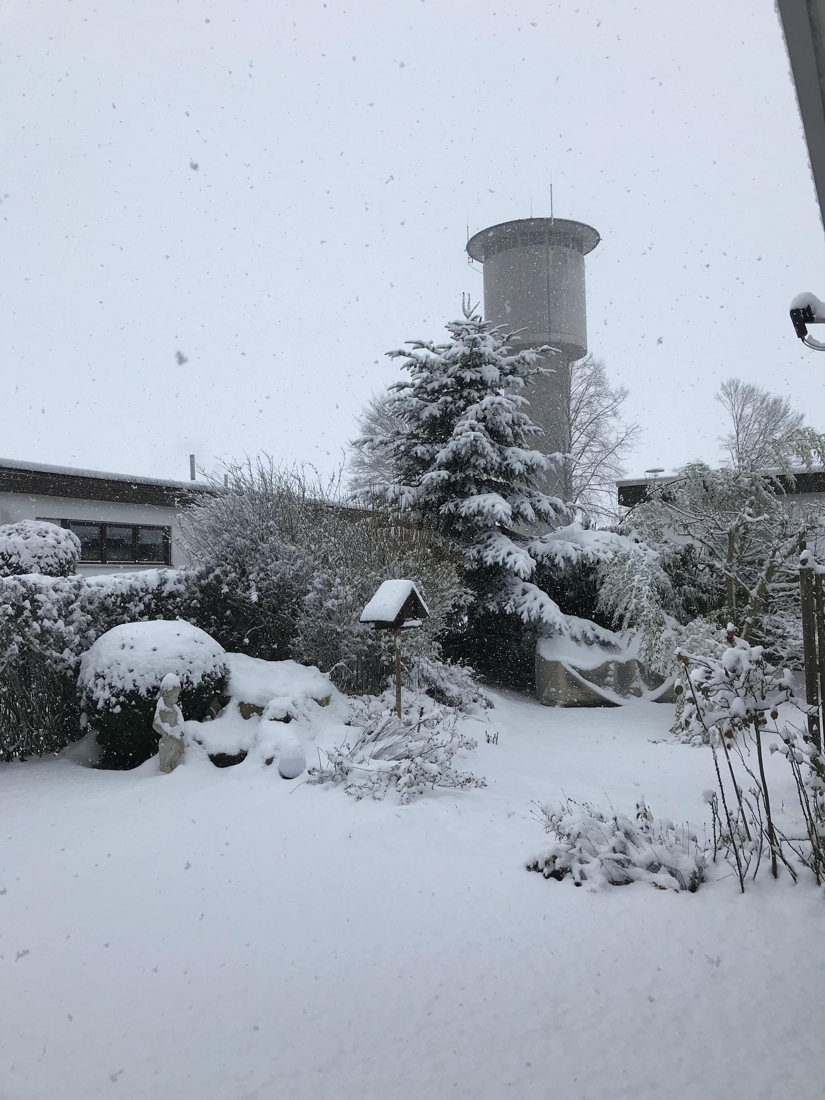 Un paysage enneigé avec un château d’eau, un arbre recouvert de neige et une nichoir.