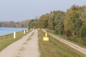 Oklassificerad bild, 5 av 53, knapp