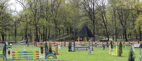 Children's area