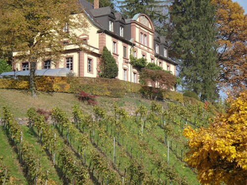 Weingut Neveu Josephsberg 2