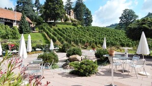 Un patio al aire libre con mesas y sillas, rodeado de follaje y un viñedo al fondo.