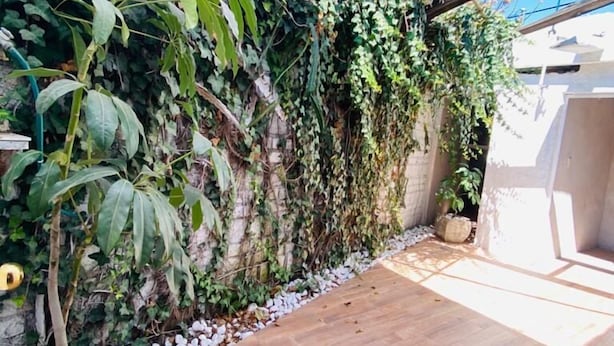 A rooftop garden with a wooden floor, potted plants, and a metal structure. - Nido de Colibrí Hotel Relax (Salvatierra)
