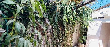 Exclusive Double Room Loft Agua by Nido de Colibri | Terrasse/Patio