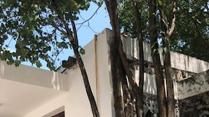 A white building with a stone wall and a tree in front. - Nido de Colibrí Hotel Relax (Salvatierra)