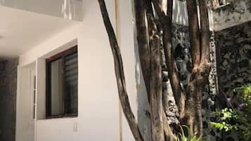 Vista frontal de la propiedad