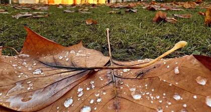 Exclusive Castle Apartment - 170m² pure luxury - near Bad Blumau & Loipersdorf