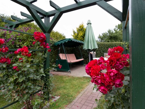 Holiday bungalow Thesenvitz - Holiday bungalow