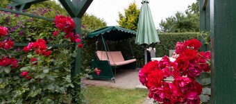 Holiday bungalow Thesenvitz - Holiday bungalow