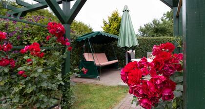 Holiday bungalow Thesenvitz - Holiday bungalow