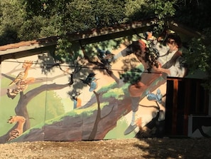 Exterior - Holiday Apartment in Amelia with Common Pool (Amelia)