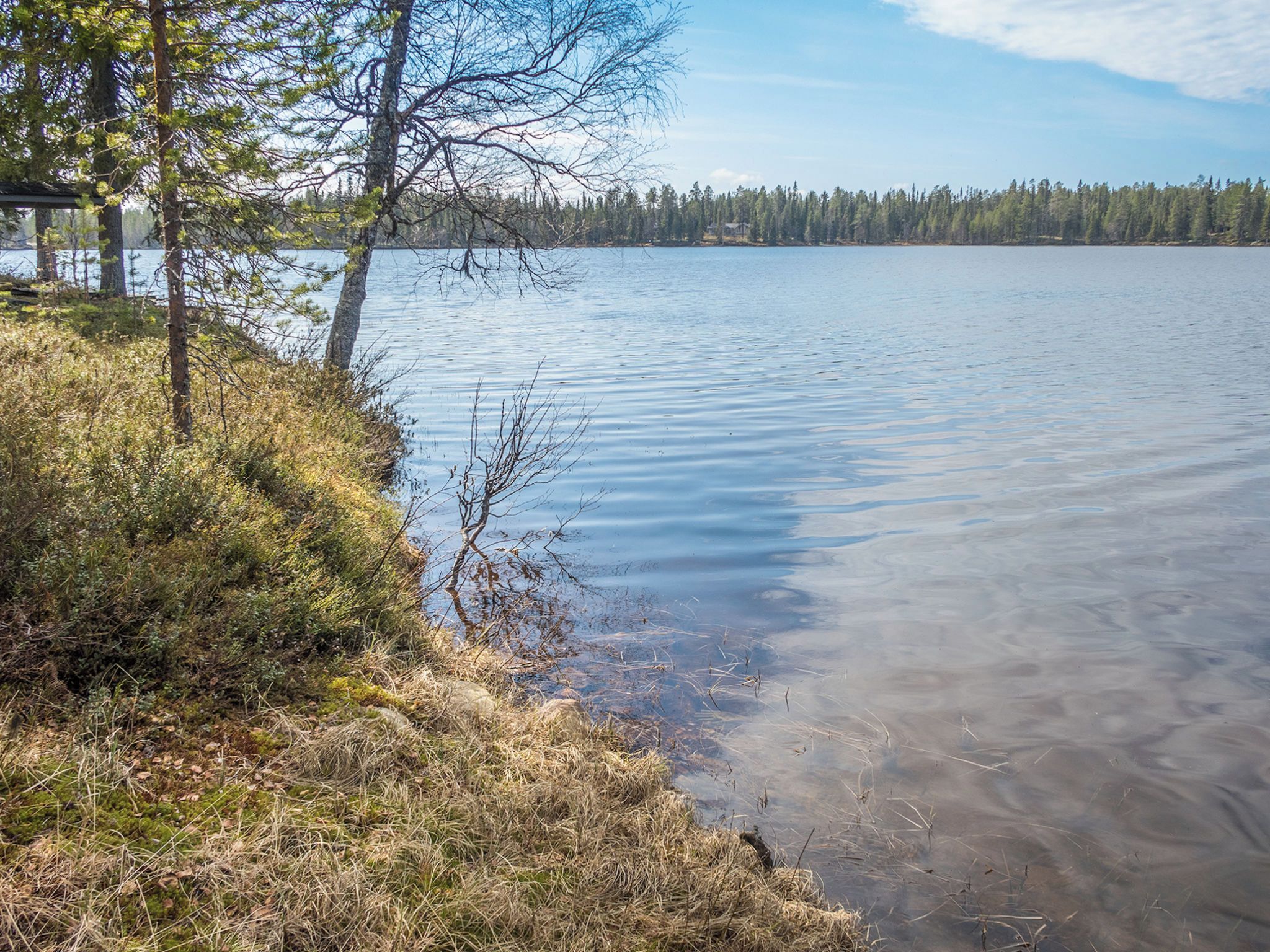 A calm lake with trees and a clear sky.