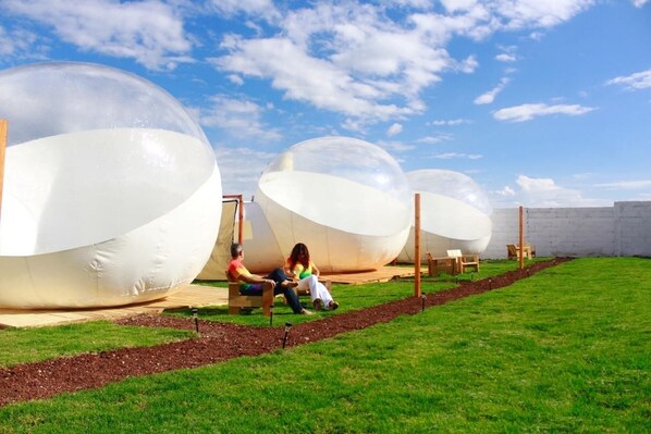 واجهة المنشأة