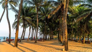 Point of interest - Fairy Garden Villa (Da Nang)