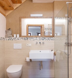 Douche, séchoir à cheveux, serviettes fournies, savon