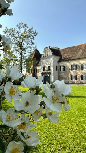 Wir schenken unseren Gästen das tolle Erlebnis Schlossherren auf Zeit zu sein!