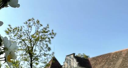 Wir schenken unseren Gästen das tolle Erlebnis Schlossherren auf Zeit zu sein!