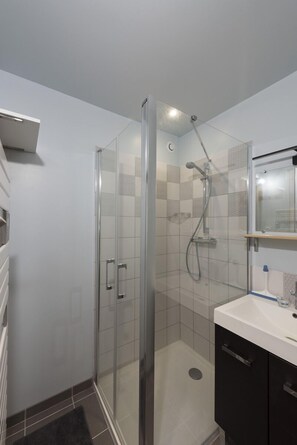 Douche, séchoir à cheveux, savon, papier de toilette